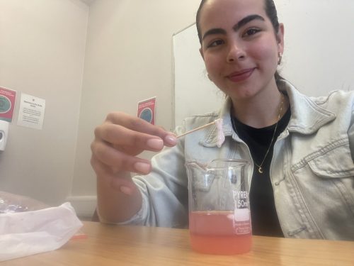 Foundation scholars enjoy study programmes during holidays
